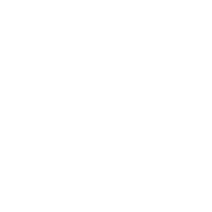 Apple Pay logo.